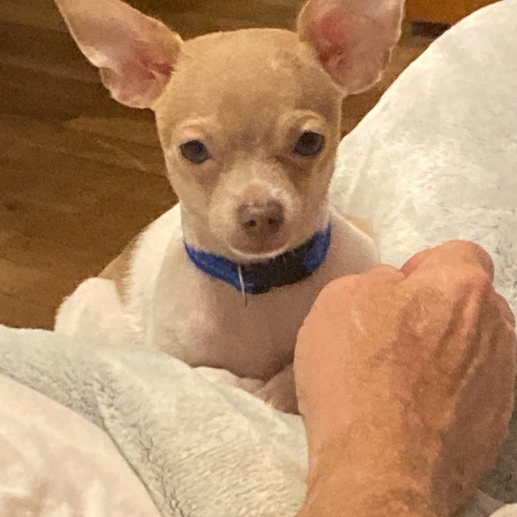 Meet your Posher, Lori - Picture 2 of 3